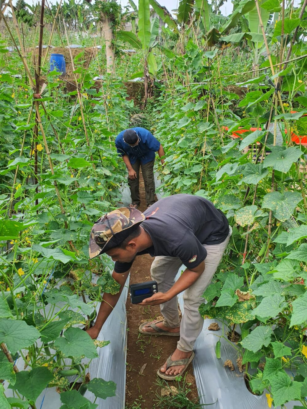 ZOAN NPK-ZM211NPKG - Image 9