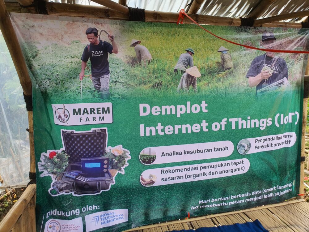 ZOAN NPK-ZM211NPKG - Image 10