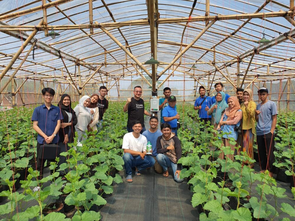 ZOAN NPK-ZM211NPKG - Image 5